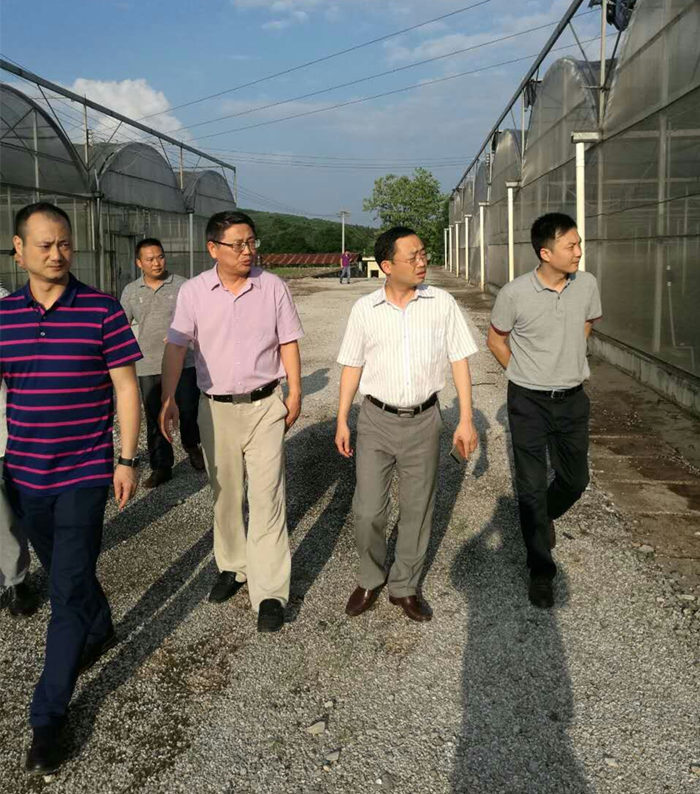 院長李文輝在湖南宜章經開區(qū)及農業(yè)科技園進行調研