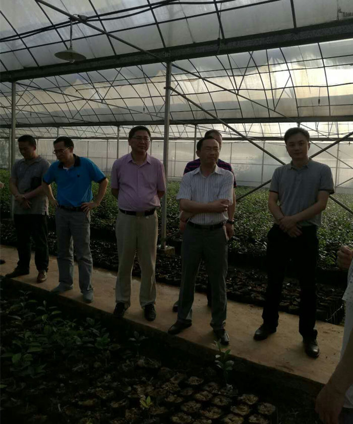 院長李文輝在湖南宜章經開區(qū)及農業(yè)科技園進行調研