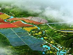 鄭州市工信局：積極構(gòu)建管城區(qū)、經(jīng)開區(qū)、中牟縣“兩區(qū)一縣”氫燃料電池汽車