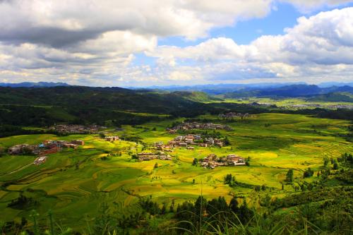 瀏陽市省級農(nóng)業(yè)科技園區(qū)機(jī)關(guān)黨支部結(jié)合主題黨日開展 “黨員人人講黨課”活