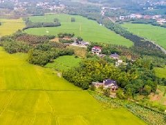 智慧園區(qū)規(guī)劃 | 產(chǎn)業(yè)園區(qū)該如何應(yīng)對突發(fā)公共事件？