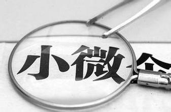 國務院關(guān)于進一步支持小型微型企業(yè)健康發(fā)展的意見