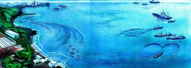提升海洋科技成果轉化率 推進藍色經(jīng)濟發(fā)展