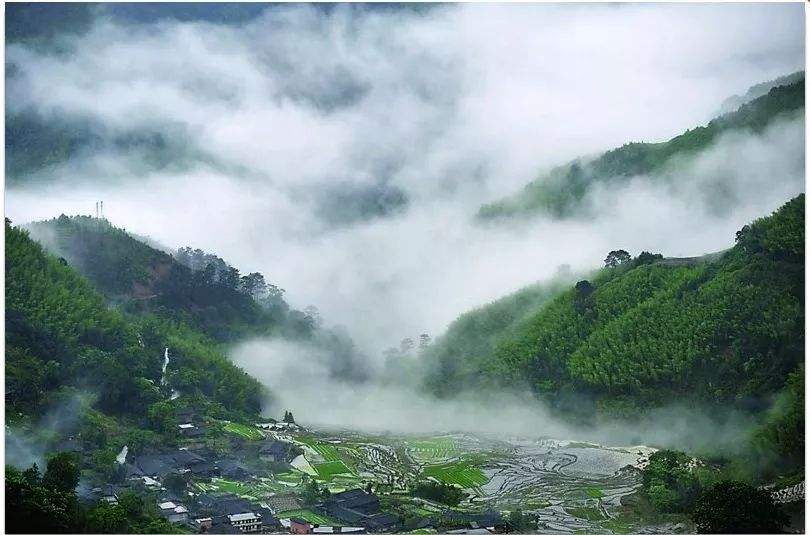 四、農(nóng)村一二三產(chǎn)業(yè)融合發(fā)展先導區(qū)項目