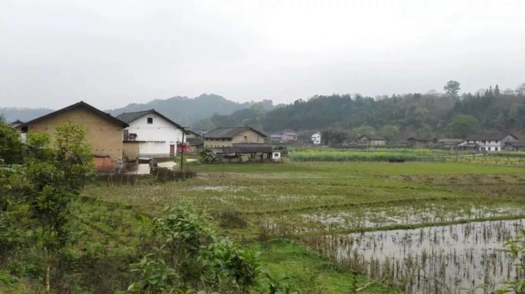 農(nóng)村土地確權(quán)結(jié)束，沒登記的四荒地如何處理？