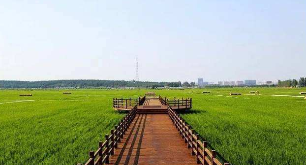 黑龍江省五常市現代農業(yè)產業(yè)園