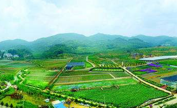 關于促進現(xiàn)代農業(yè)產業(yè)園區(qū)建設的提案