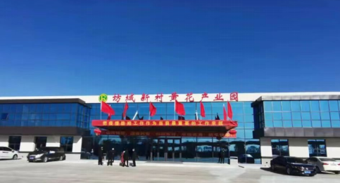 大同黃花，忘憂云州——云州區(qū)積極申創(chuàng)國家農(nóng)業(yè)現(xiàn)代化示范區(qū)